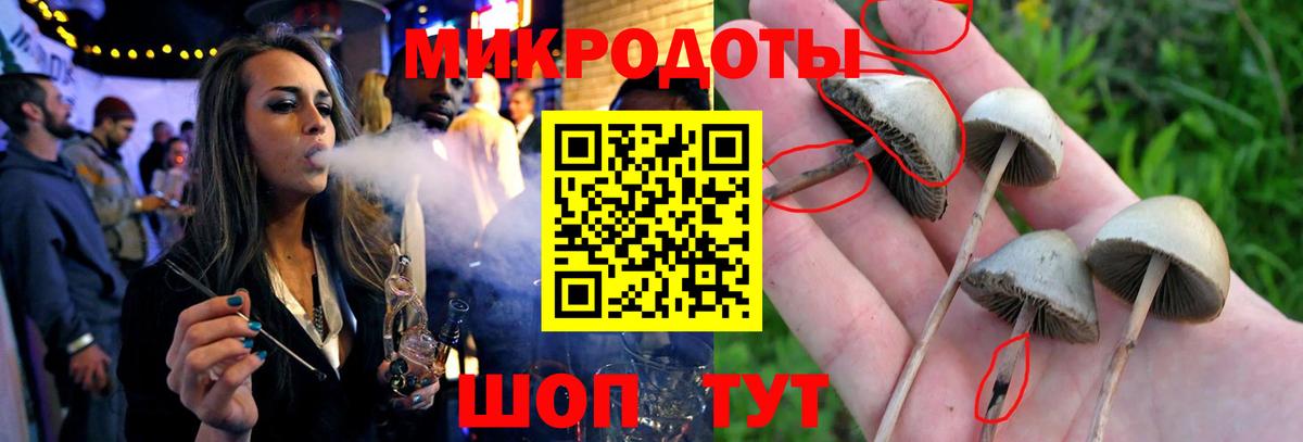 Орёл  Галлюциногенные грибы мухоморы  Вход с VPN 